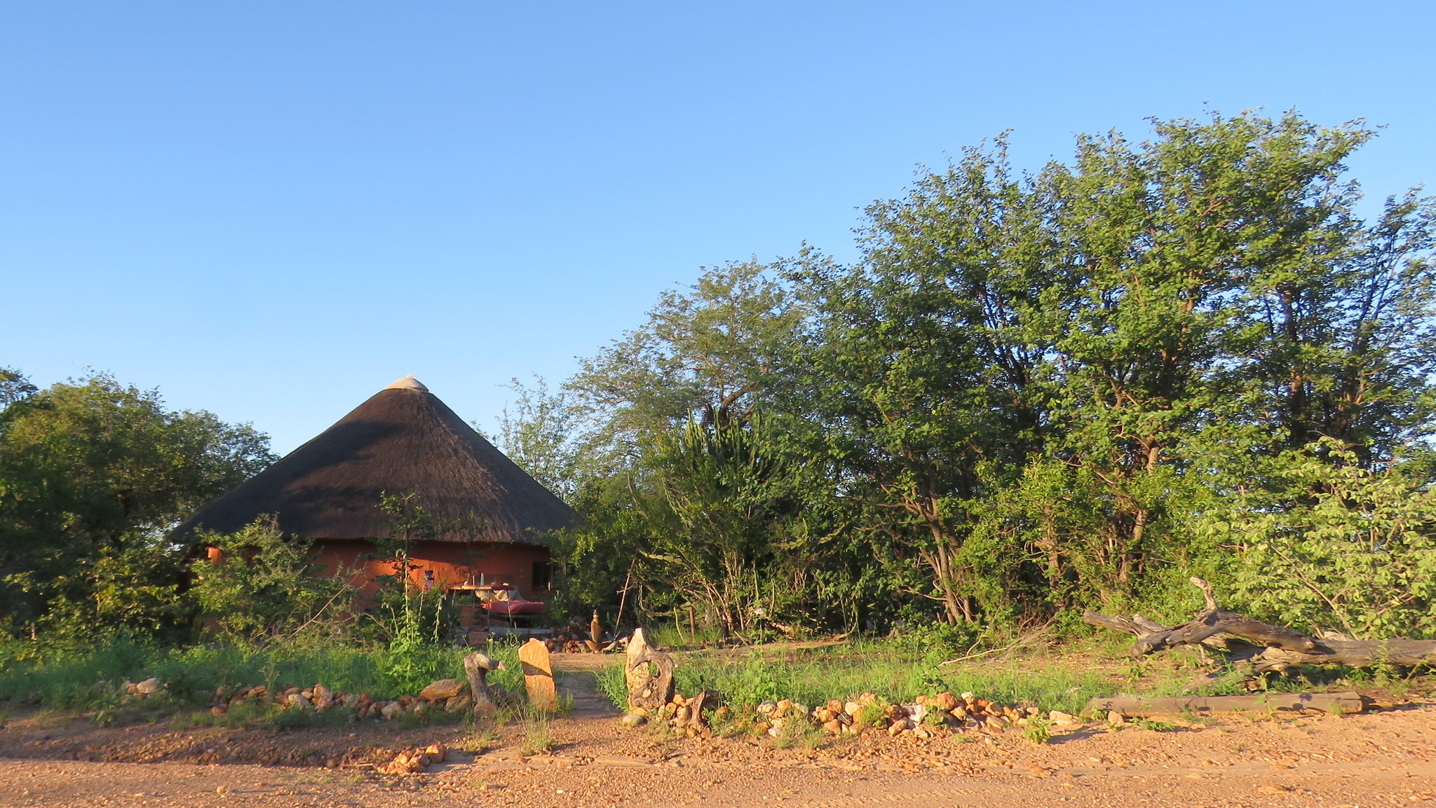 Mopane Grove in summer.